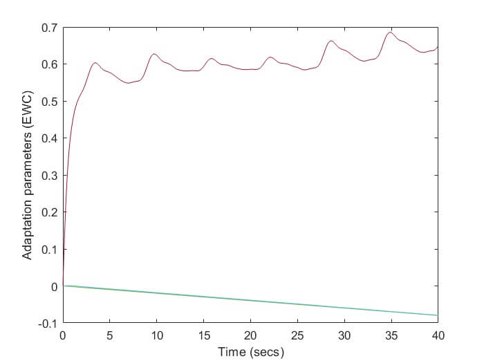 Adaptation parameters (EWC)